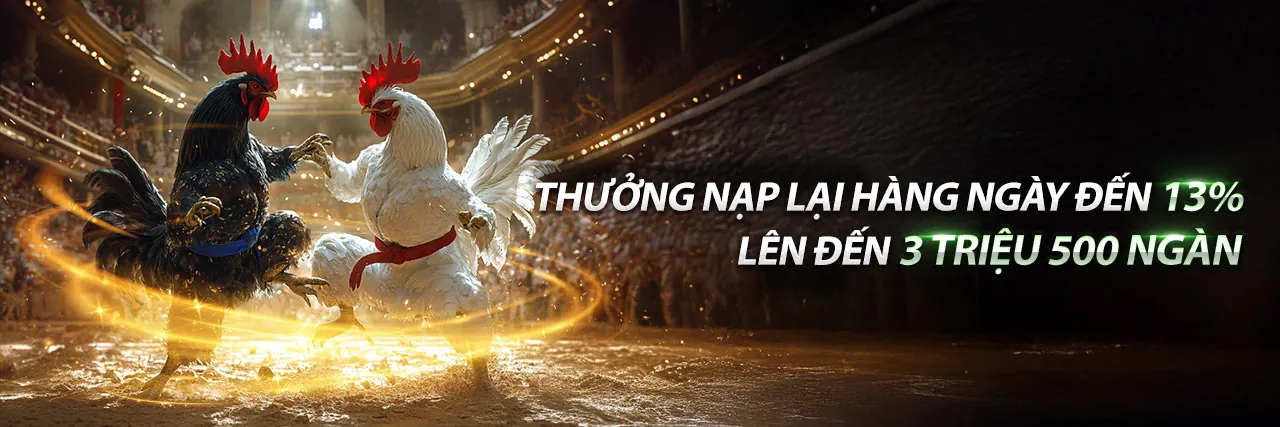 Cá cược thể thao tại for88 link vào